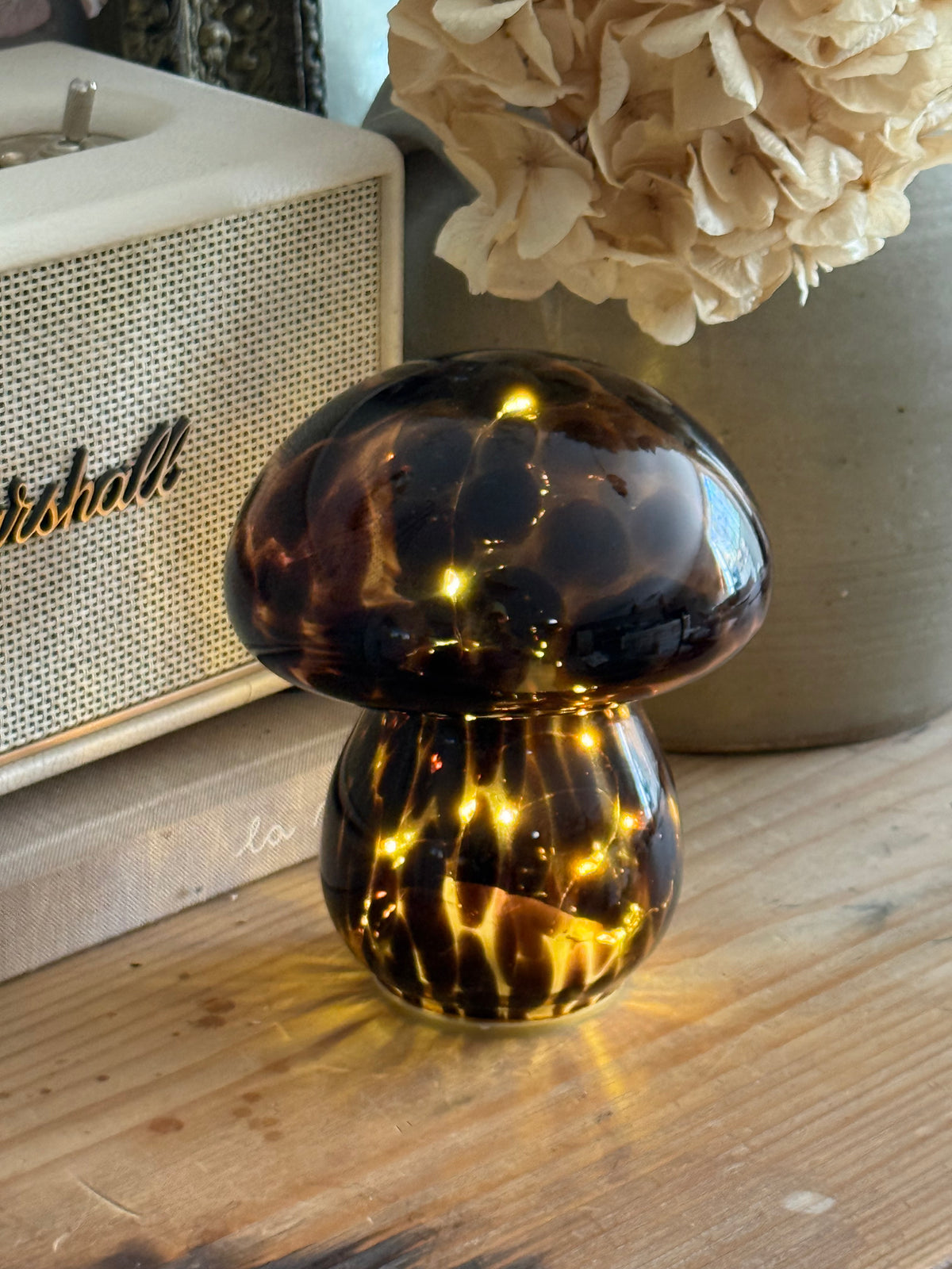 Champignon Led léopard