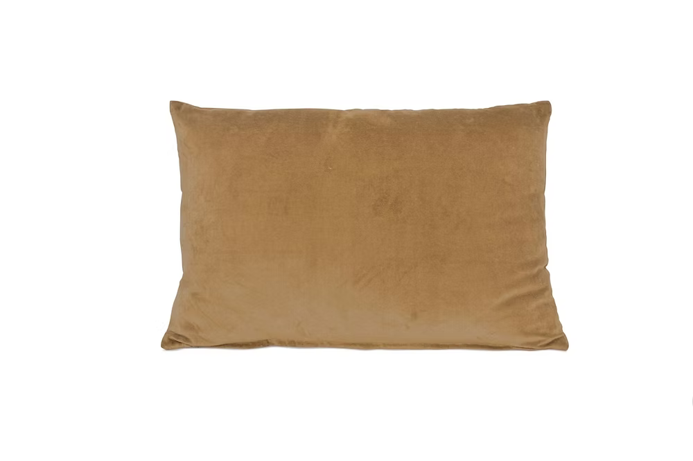 Coussin velours