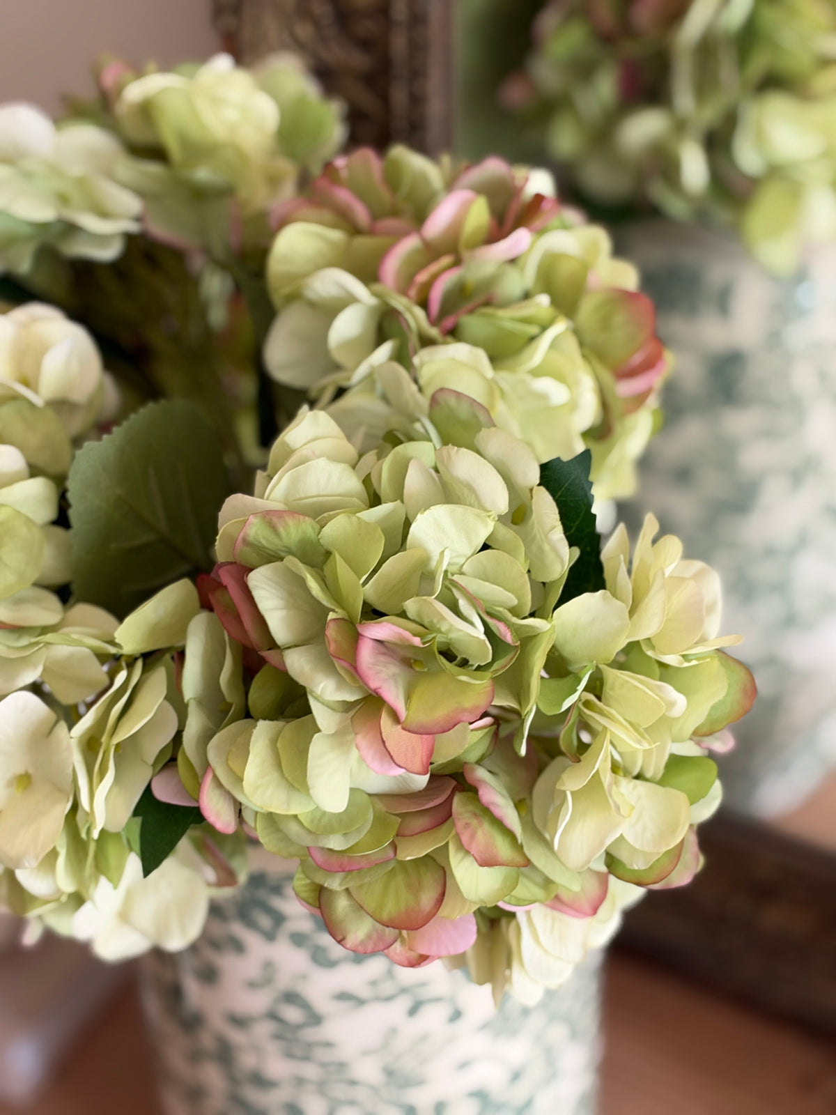 Hortensia vert