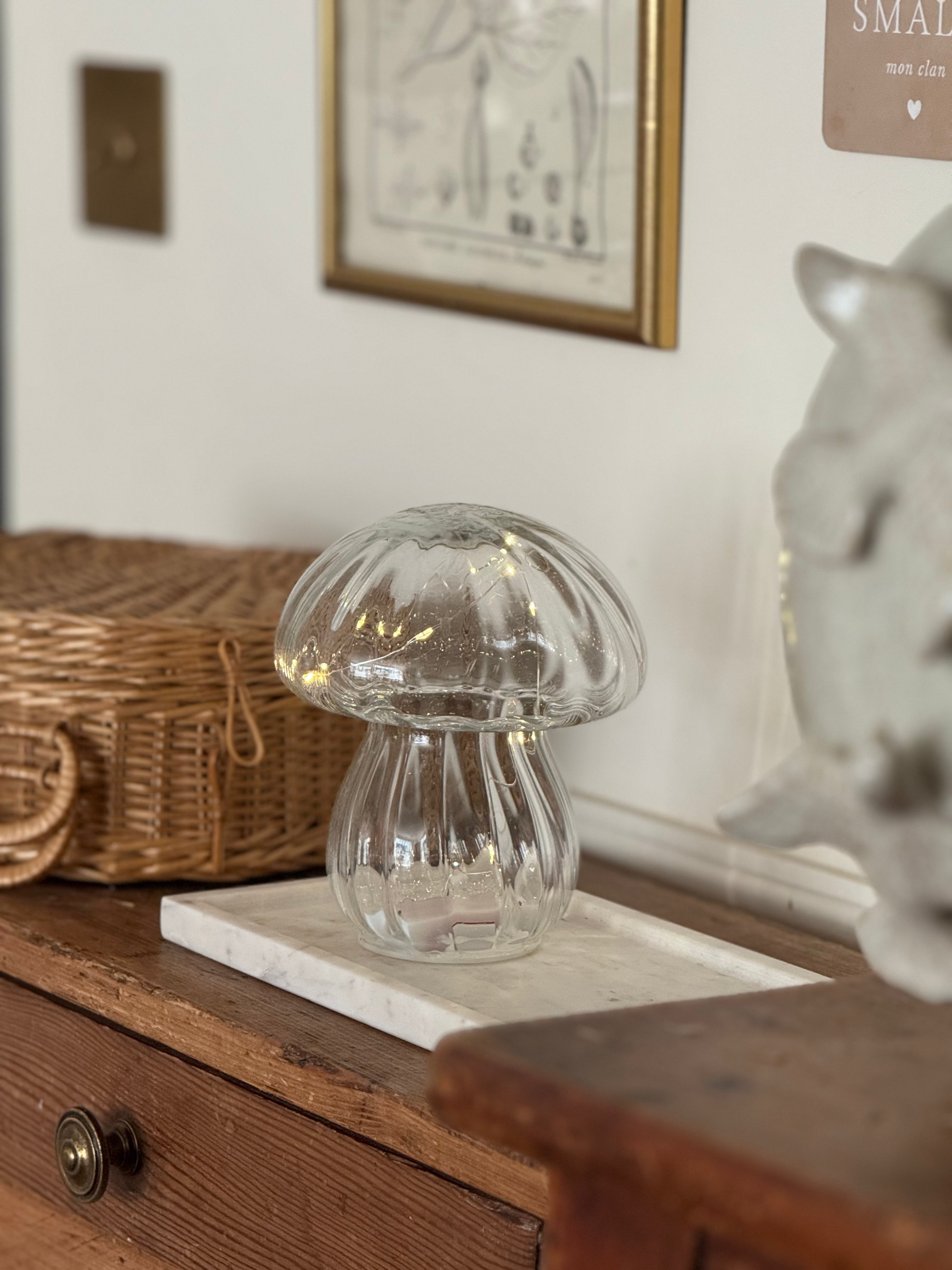 Champignon LED transparent